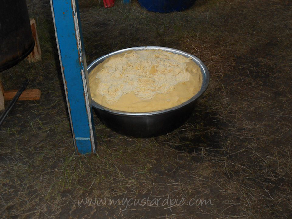 Weird scrambled egg dish