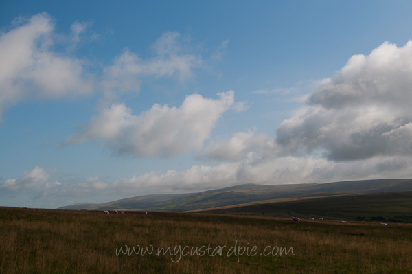 Dartmoor