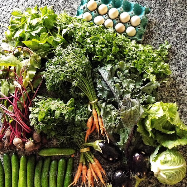 Vegetables from the farmers market