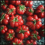 Tomatoes from farmers market My Custard&nbsp;PIe