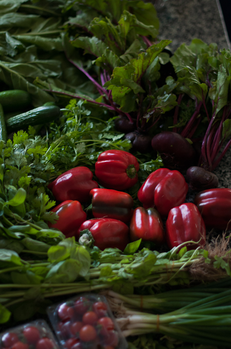 Vegetables from the Farmers Market Dubai -