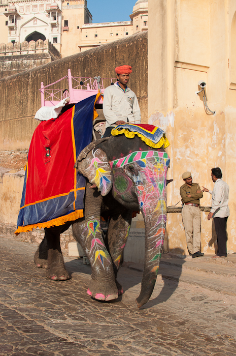 Amber fort