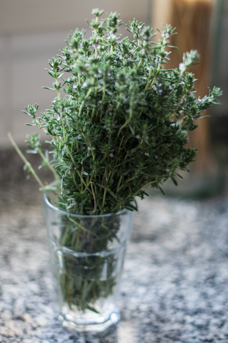 thyme