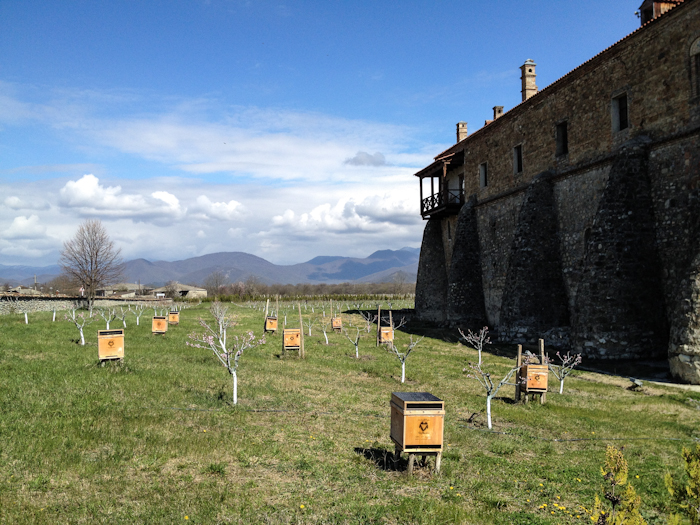 Alaverdi monastery - Georgia