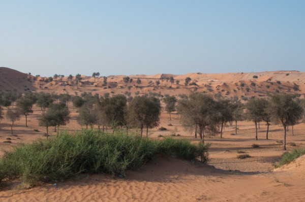 On the journey from RAK