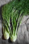 Fennel – My Custard&nbsp;Pie-1-2