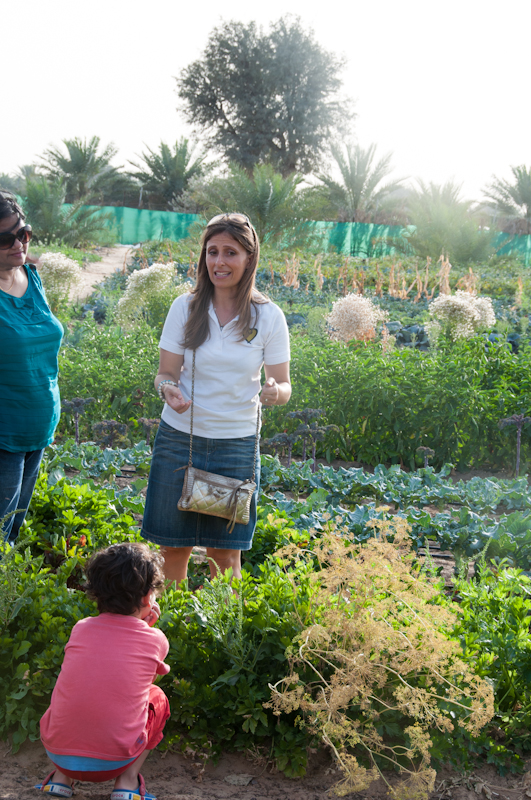 Greenheart - My Custard Pie