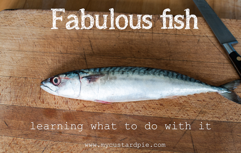Learning what to do with fish - mycustardpie.com