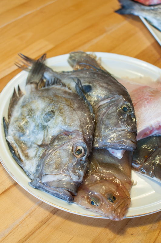 Learning what to do with fish - mycustardpie.com