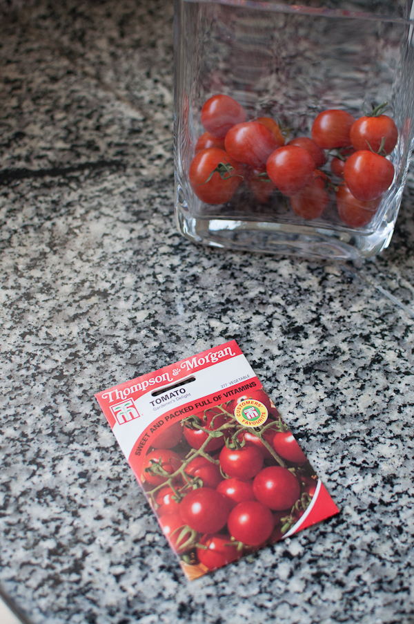 In my kitchen - mycustardpie.com