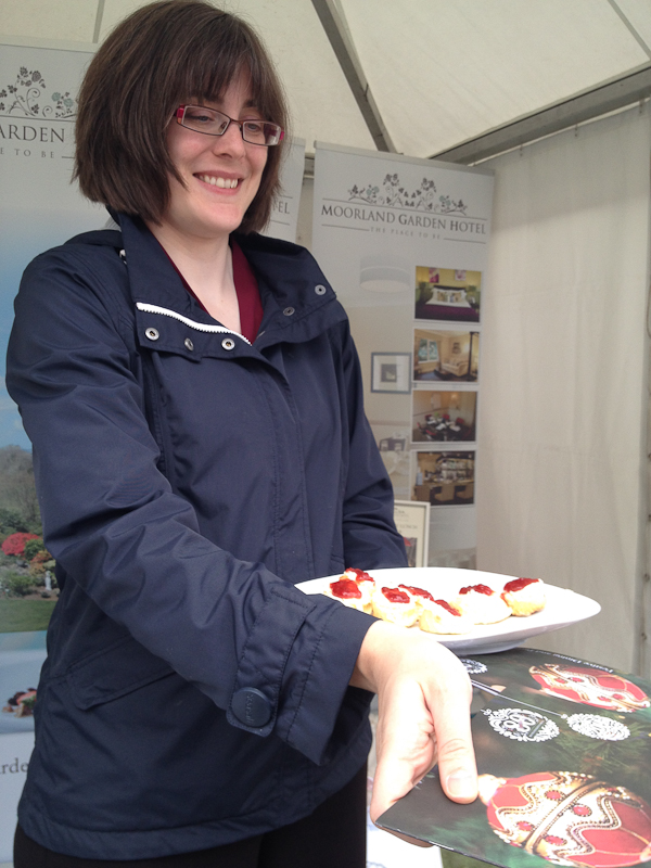 Flavour Fest Plymouth mycustardpie.com