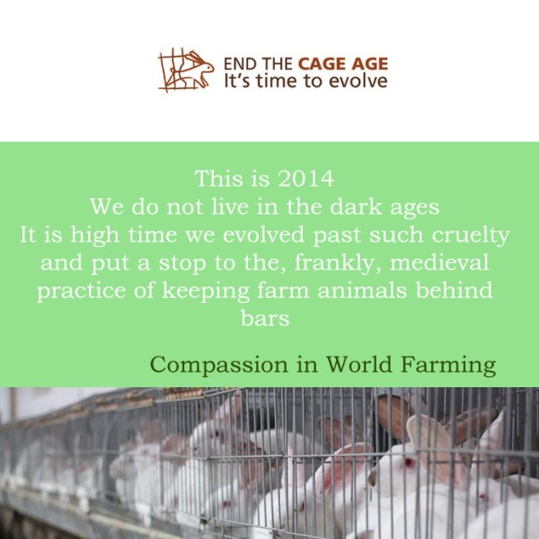 End the cage age - find out more on compassion in world farming or mycustardpie.com