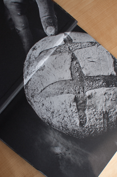 Bread cookbook review - My Custard Pie