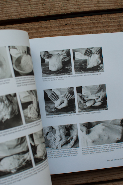 Bread cookbook review - My Custard Pie