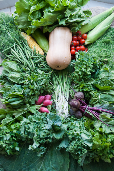 Diverse Dubai by MyCustardPie.com