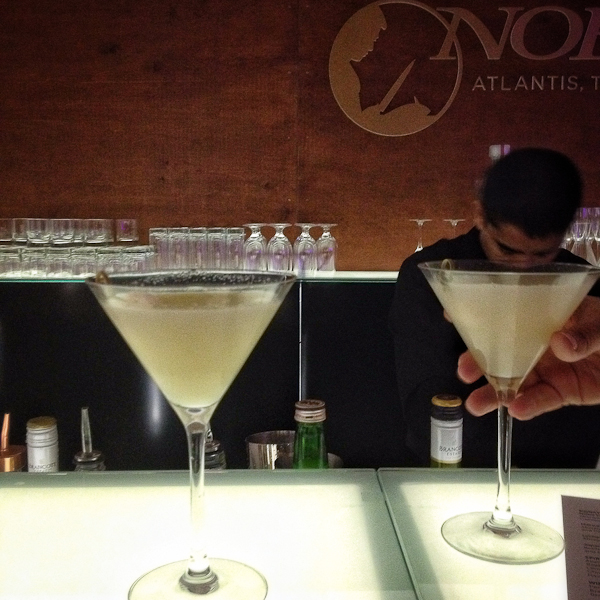 Diverse Dubai by MyCustardPie.com