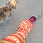 Diverse Dubai by MyCustardPie.com