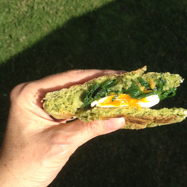 Diverse Dubai by MyCustardPie.com