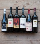 Exploring wine My Custard&nbsp;Pie-2-2