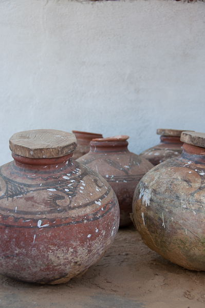 Marigolds in Rajasthan-mycustardpie