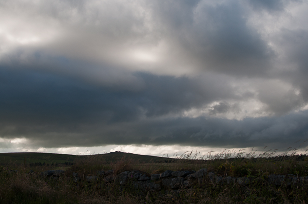 Summer 2014 -My Custard Pie