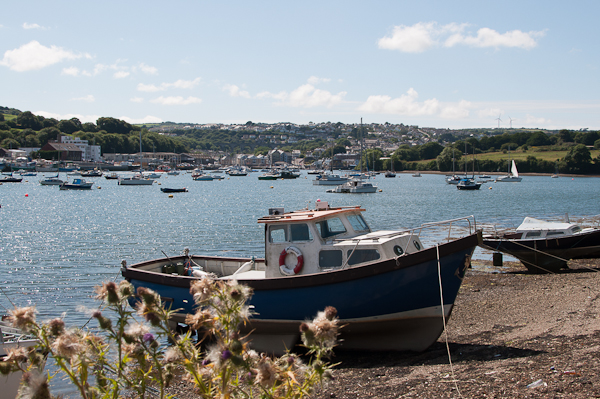 Summer 2014 -My Custard Pie