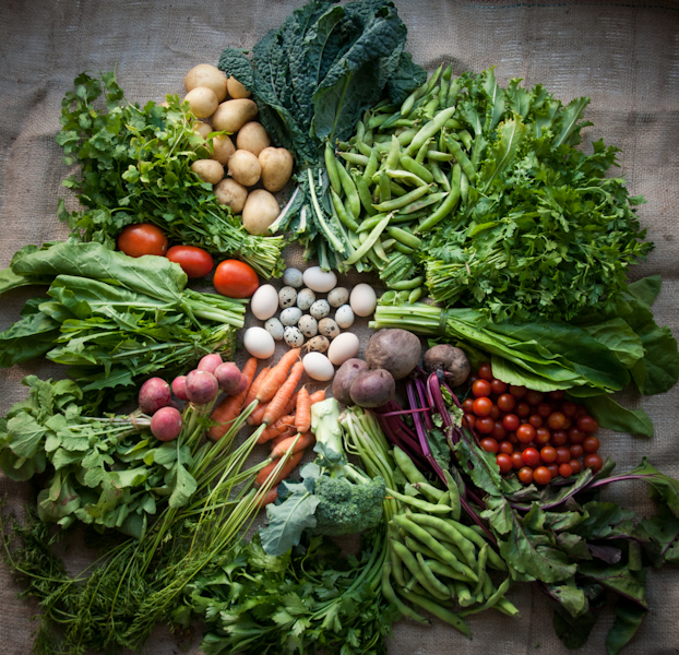 farmers market vegetables