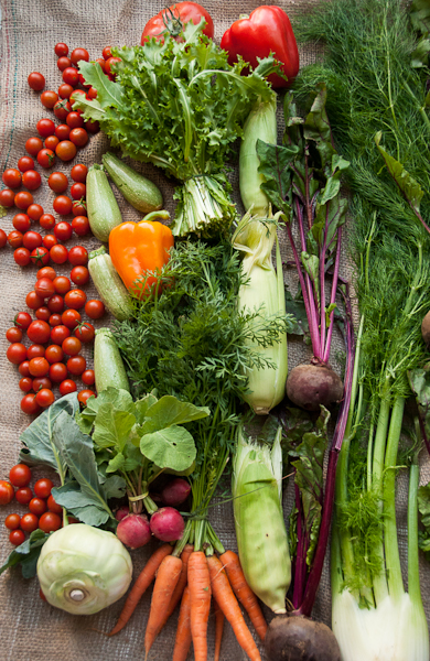 farmers market dubai organic veg
