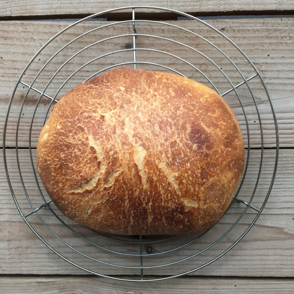 Sourdough
