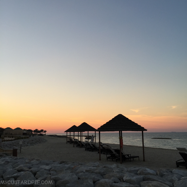 Sir Bani Yas Island - My Custard Pie