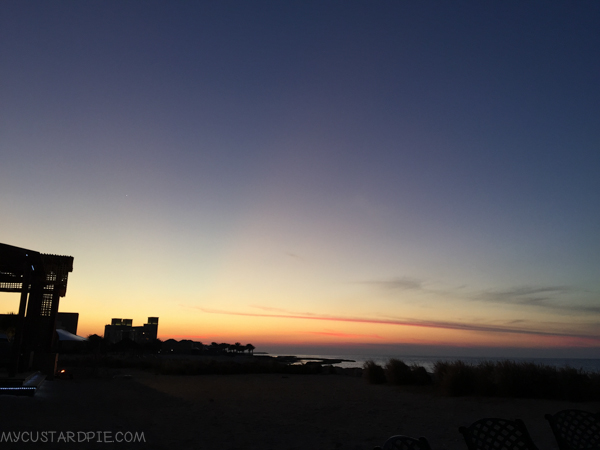 Sir Bani Yas Island - My Custard Pie