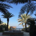 Sir Bani Yas Island – My Custard&nbsp;Pie-15-2