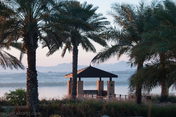 Sir Bani Yas Island - My Custard Pie