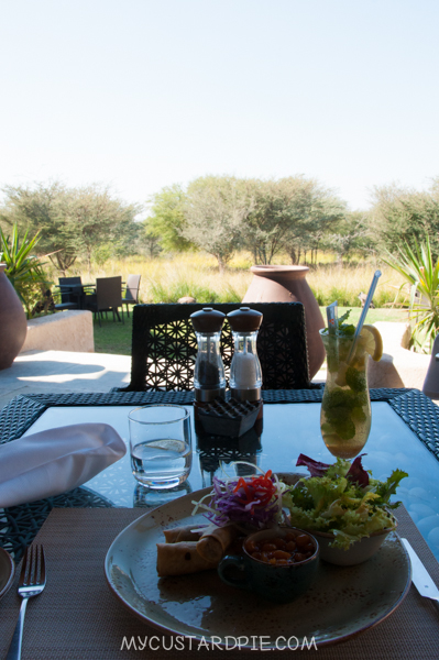 Sir Bani Yas Island - My Custard Pie