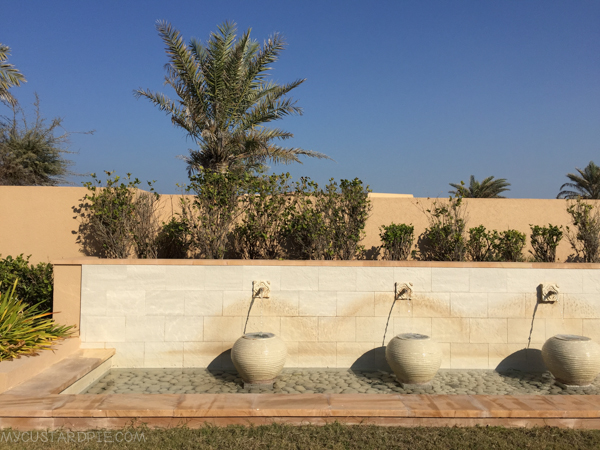 Sir Bani Yas Island - My Custard Pie