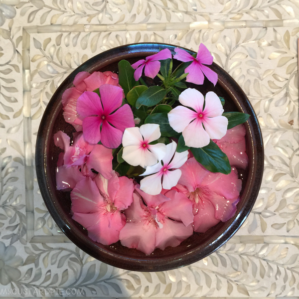 Sir Bani Yas Island - My Custard Pie