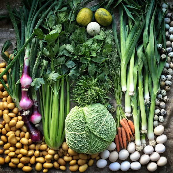Farmers Market weekly shop vegetables and eggs