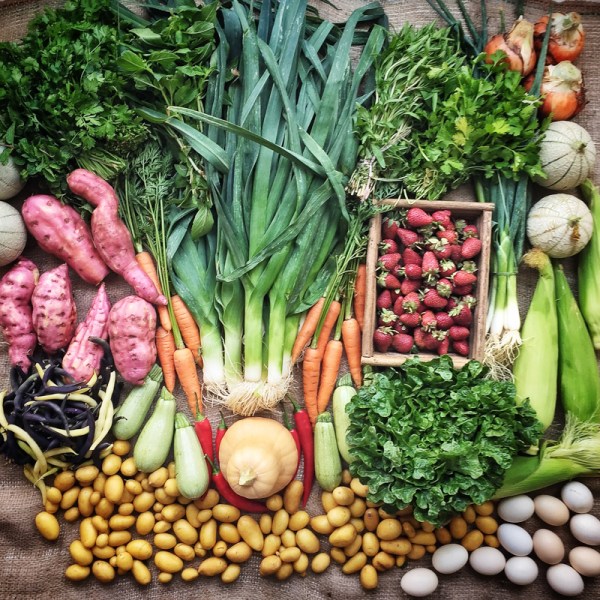 farmers market veg -mycustardpie.com