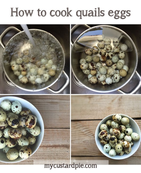 How to cook quails eggs - mycustardpie.com