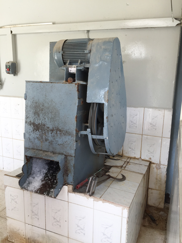 Modern Ice Factory Dubai - mycustardpie.com