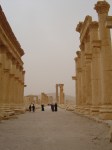 Palmyra in Syria on mycustardpie.com