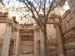 Palmyra in Syria on mycustardpie.com