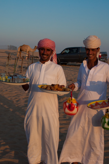Meeting camels in the desert. How many words are there for camel in Arabic? Find out on mycustardpie
