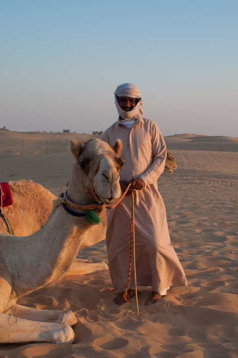 Meeting camels in the desert. How many words are there for camel in Arabic? Find out on mycustardpie