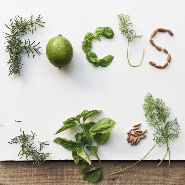 Focus - Happy 2016 on mycustardpie.com