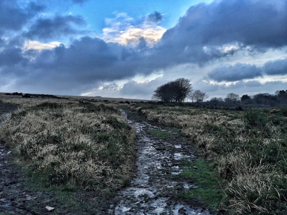 Walking up an appetite over Dartmoor - more about December food experiences on mycustardpie.com