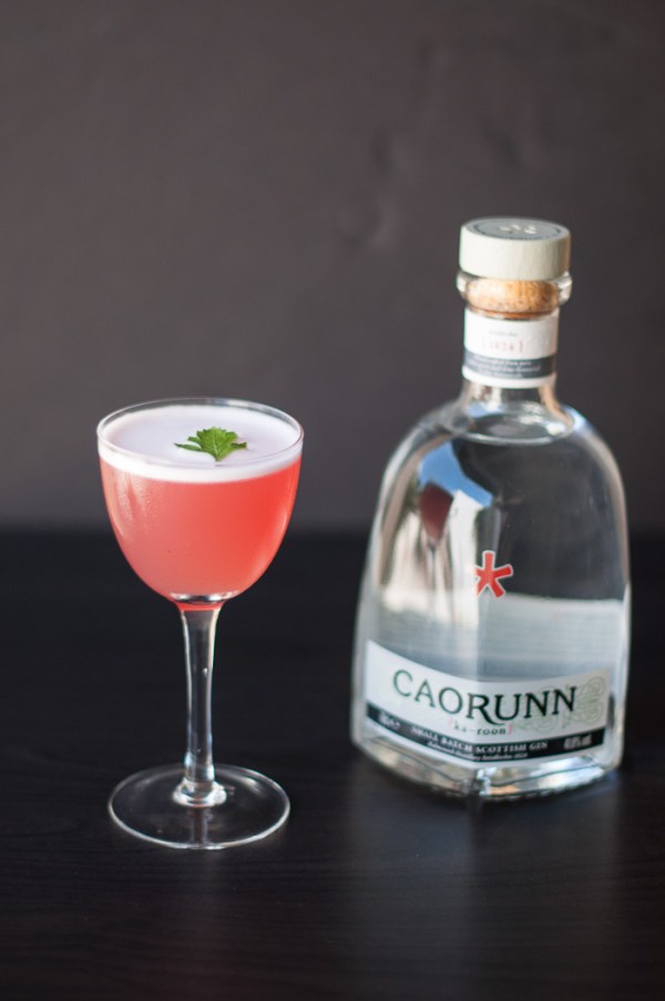 How to make a Sir Frances Drake Gimlet on mycustardpie.com