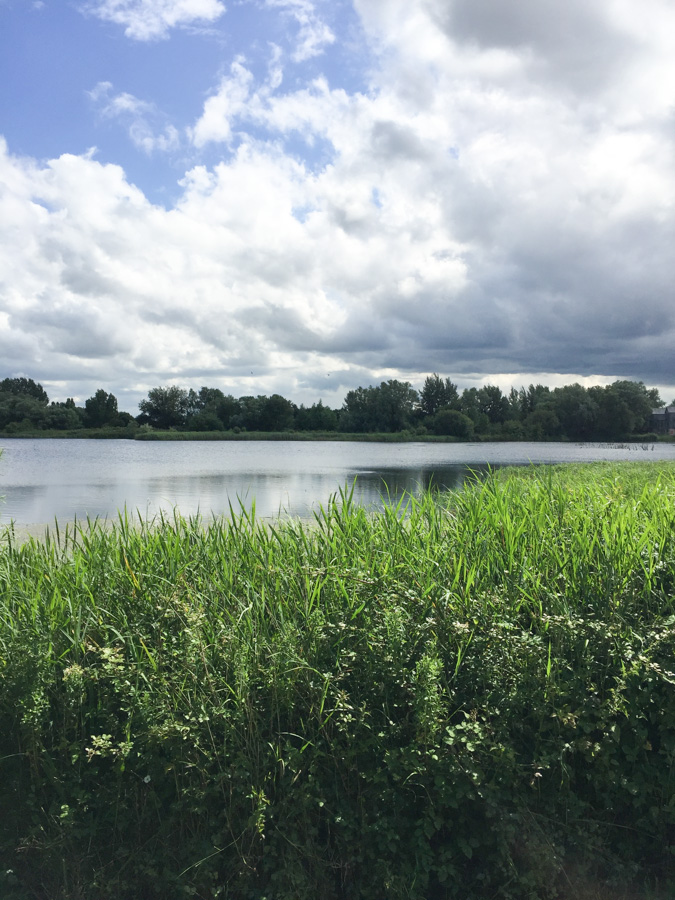 Cirencester lakes. Summer days in the UK on mycustardpie.com