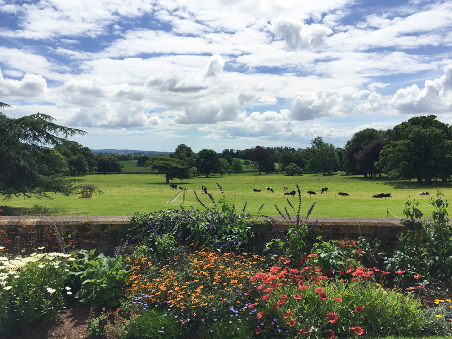 Killerton - a National Trust house near Exeter. Summer days in the UK on mycustardpie.com