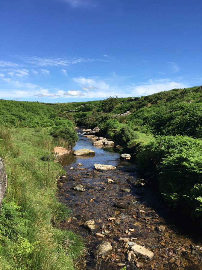 On Dartmoor. Summer days in the UK on mycustardpie.com